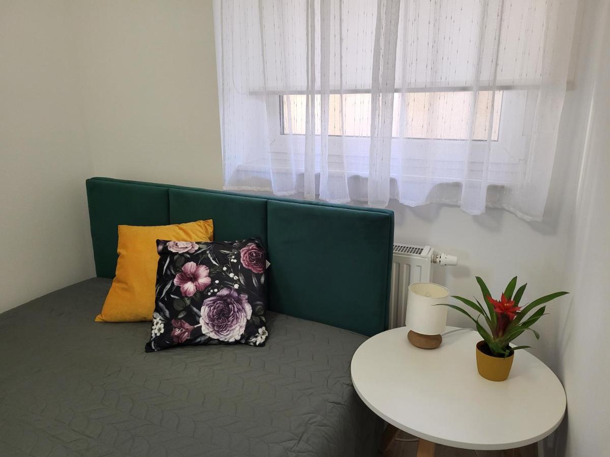 פולניסה-ז'דוז' Apartament Z Widokiem-Blizej Zdroju מראה חיצוני תמונה