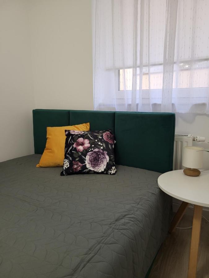 פולניסה-ז'דוז' Apartament Z Widokiem-Blizej Zdroju מראה חיצוני תמונה