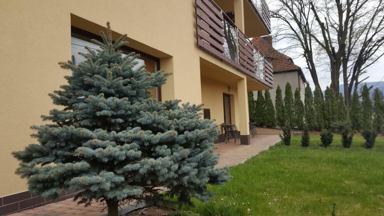 פולניסה-ז'דוז' Apartament Z Widokiem-Blizej Zdroju מראה חיצוני תמונה